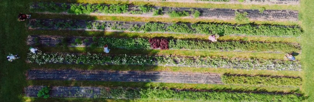 How to manage multiple projects&nbsp;simultaneously